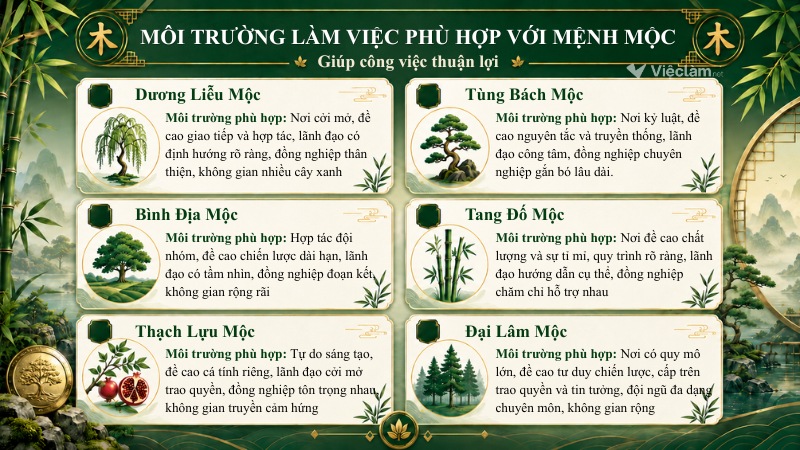 Môi trường phù hợp với người mệnh Mộc giúp công việc thuận lợi